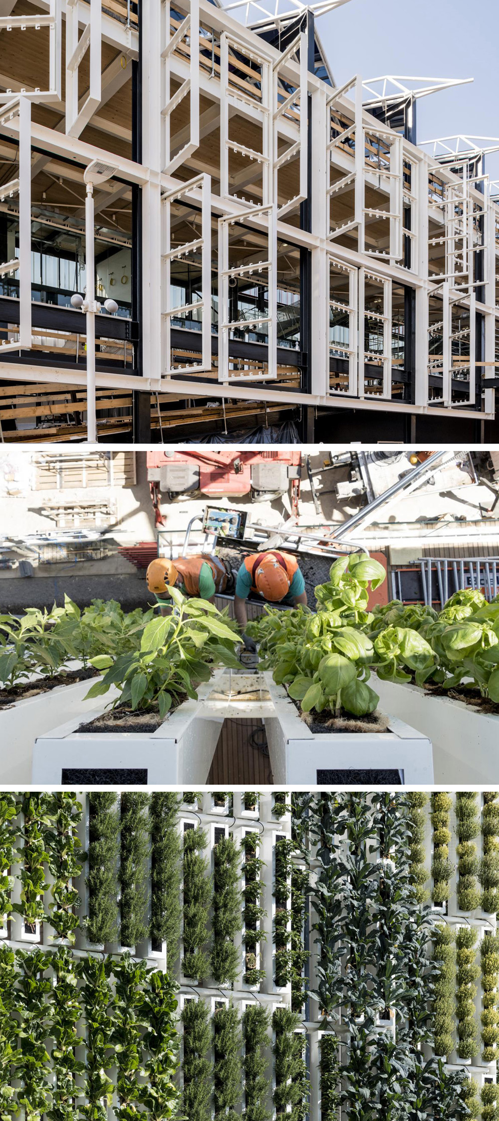 Vertical Pivoting Planters 051 Filt3rs vertical-pivoting-planters-051-filt3rs